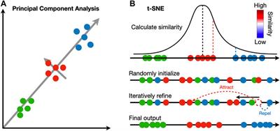 Analysis and Visualization of Spatial Transcriptomic Data